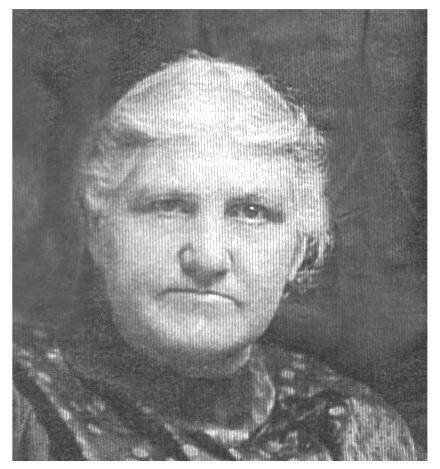 Alvira Evelette Smith (1846 - 1909) Profile